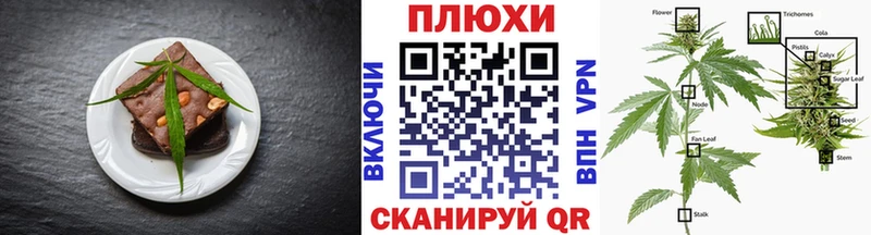 цена   Новомосковск  Canna-Cookies конопля 