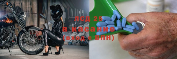 индика Армянск