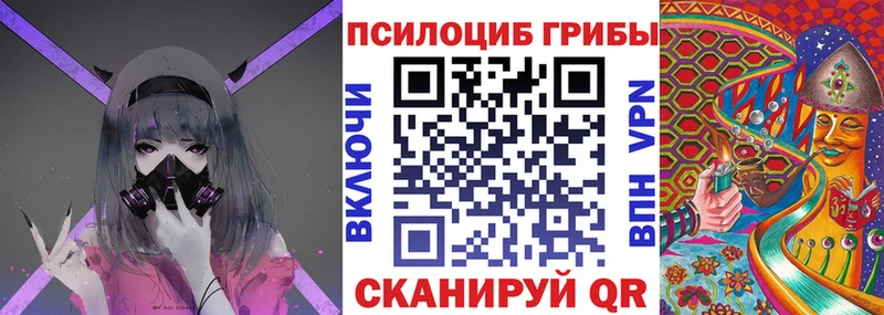 Галлюциногенные грибы Magic Shrooms  Новомосковск 